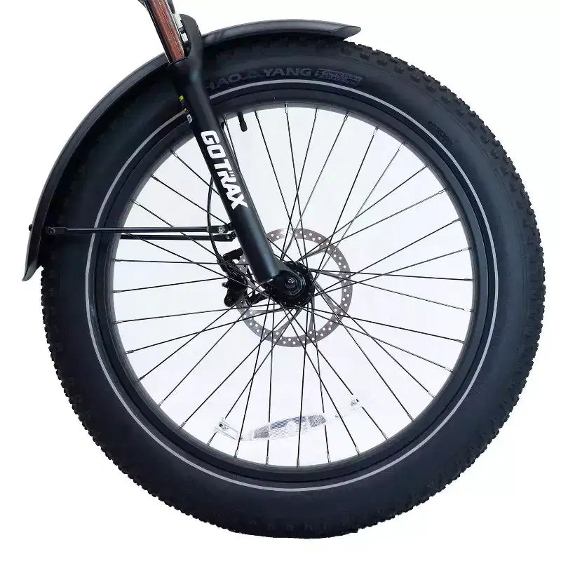 GOTRAX Fat Tire 26 Zoll E-Hybrid-Fahrrad für Erwachsene mit Tiefeinsteigerrahmen – Grün