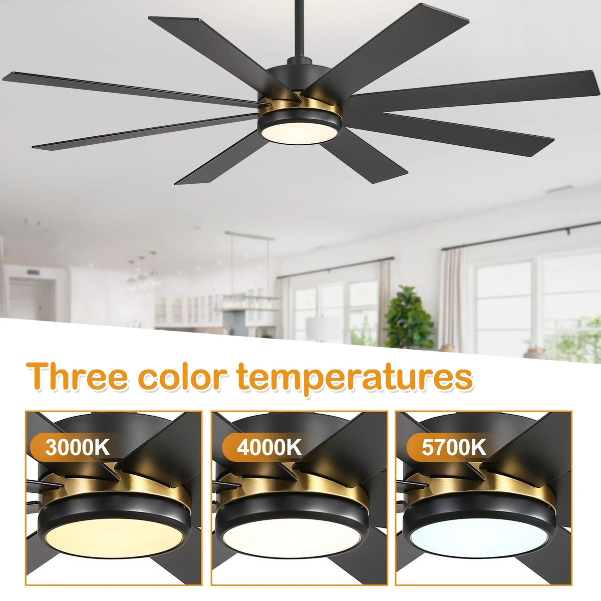 65-Zoll-LED-Deckenventilator mit 8 Flügeln, Licht und Fernbedienung, Schwarz