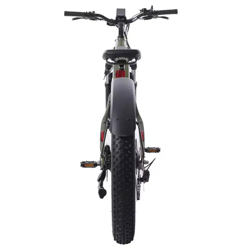 GOTRAX Fat Tire 26 Zoll E-Hybrid-Fahrrad für Erwachsene mit Tiefeinsteigerrahmen – Grün