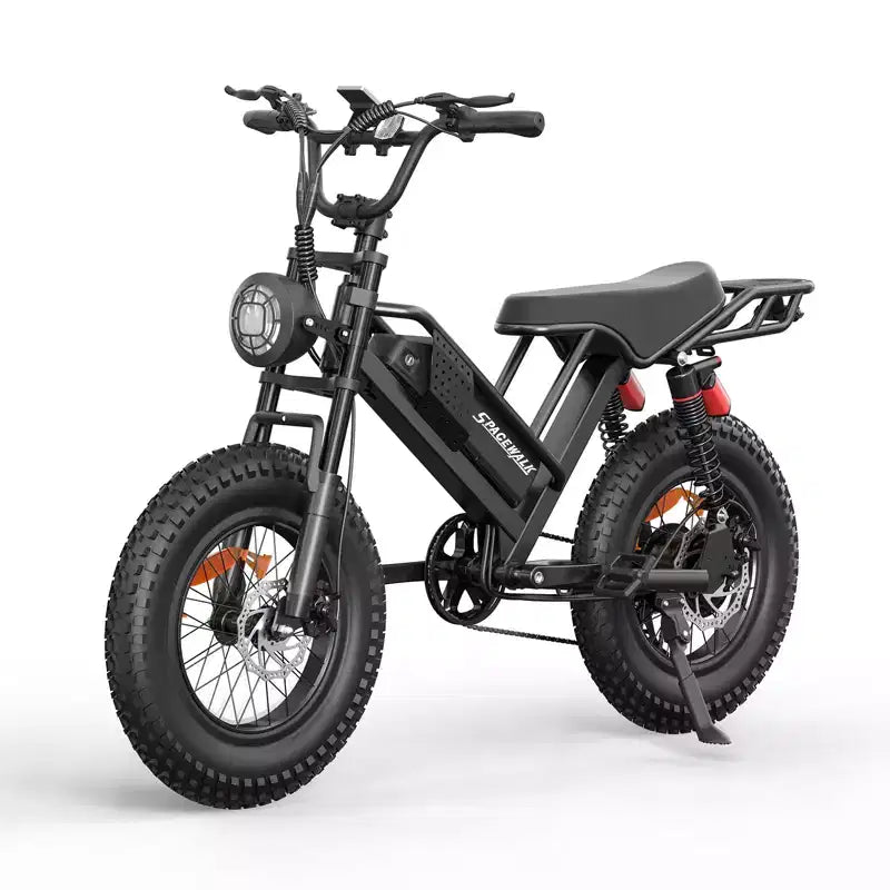 Eilleo 20 Fat Tire E-Bike, 750W Motor (920W Spitze), 40 km/h, 80-110 km Reichweite, 48V 15.6Ah Akku, Dual-Federung, Shimano 7-Gang