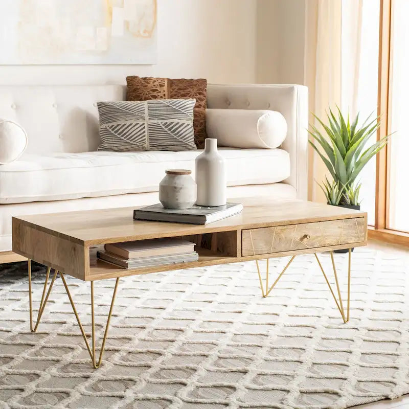 SAFAVIEH Nilgun Couchtisch für Wohnzimmer, 1 Schublade, 1 Ablage – 43 B x 21,6 T x 16 H – 43Bx22Tx16H