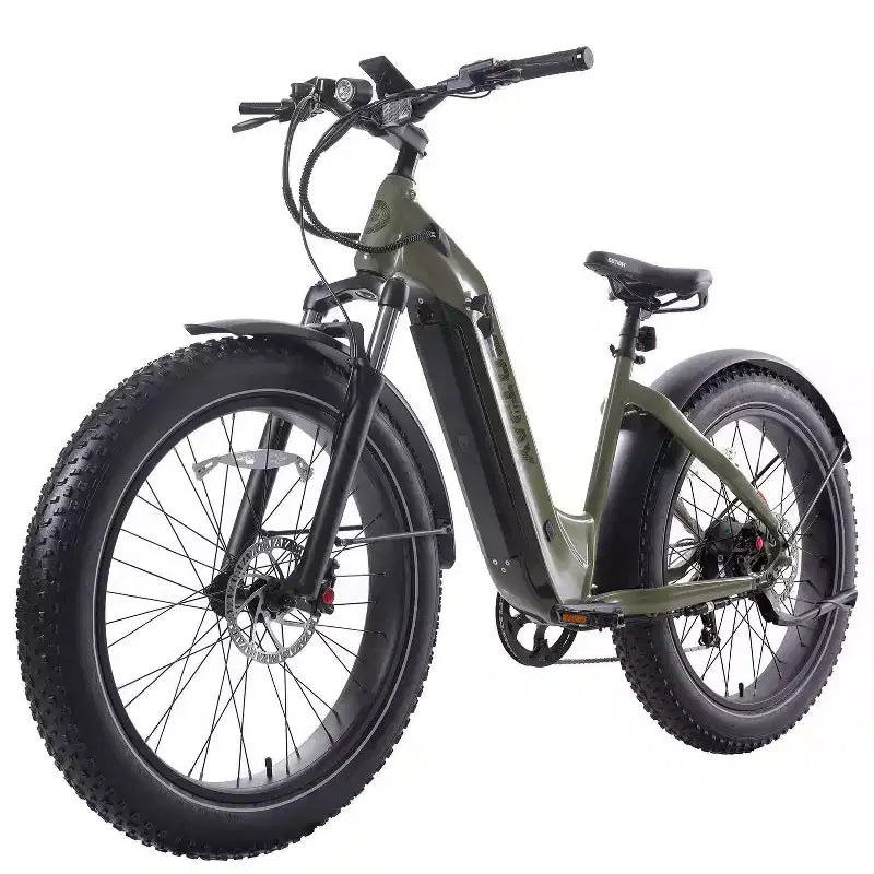 GOTRAX Fat Tire 26 Zoll E-Hybrid-Fahrrad für Erwachsene mit Tiefeinsteigerrahmen – Grün