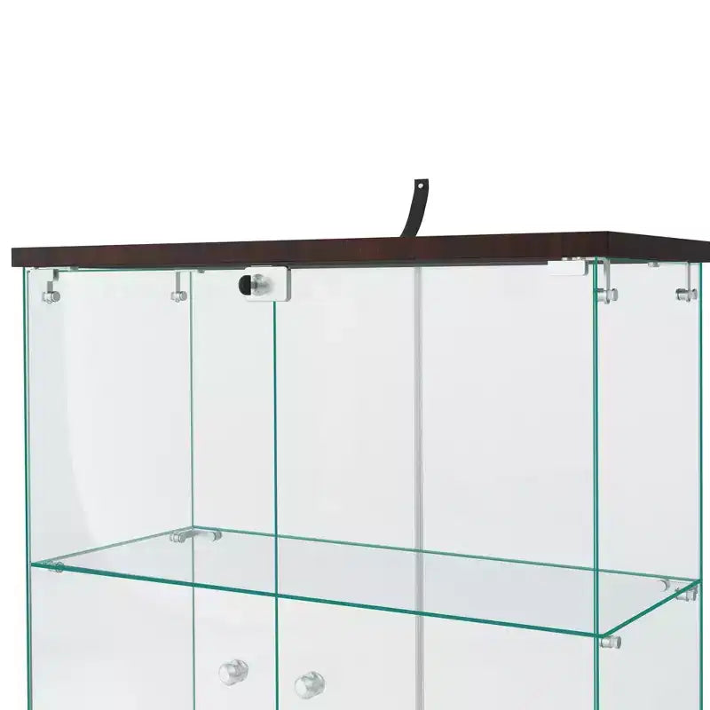 64,5 X 32 Glasvitrine Setzkasten mit Schloss